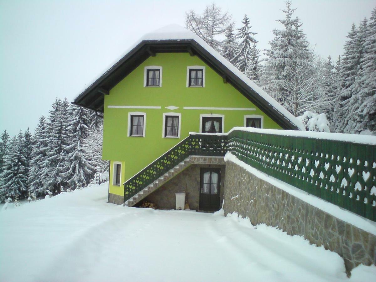 Apartment Sara Vitanje Екстериор снимка